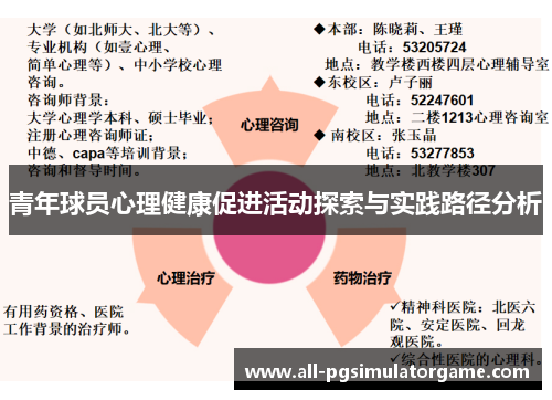 青年球员心理健康促进活动探索与实践路径分析