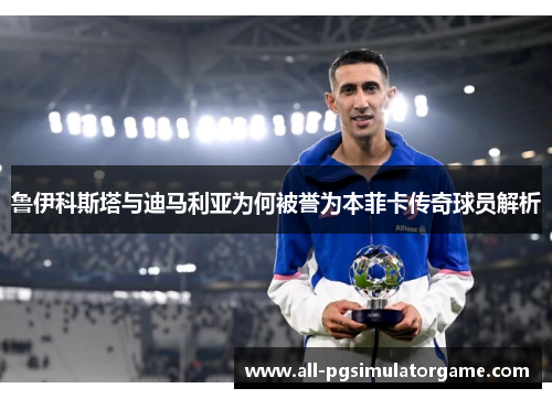 鲁伊科斯塔与迪马利亚为何被誉为本菲卡传奇球员解析