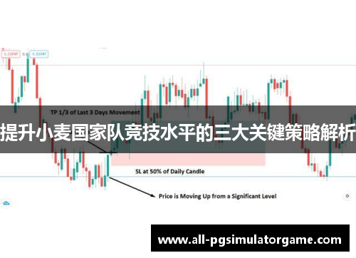 提升小麦国家队竞技水平的三大关键策略解析 提升小麦国家队竞技水平的三大关键策略解析